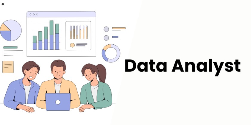 Data Analyst / Power BI Expert