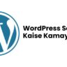 WordPress Se Paise Kaise Kamaye