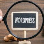 WordPress Developer Kaise Bane?