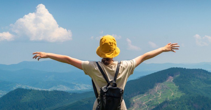 MBA in Travel and Tourism
