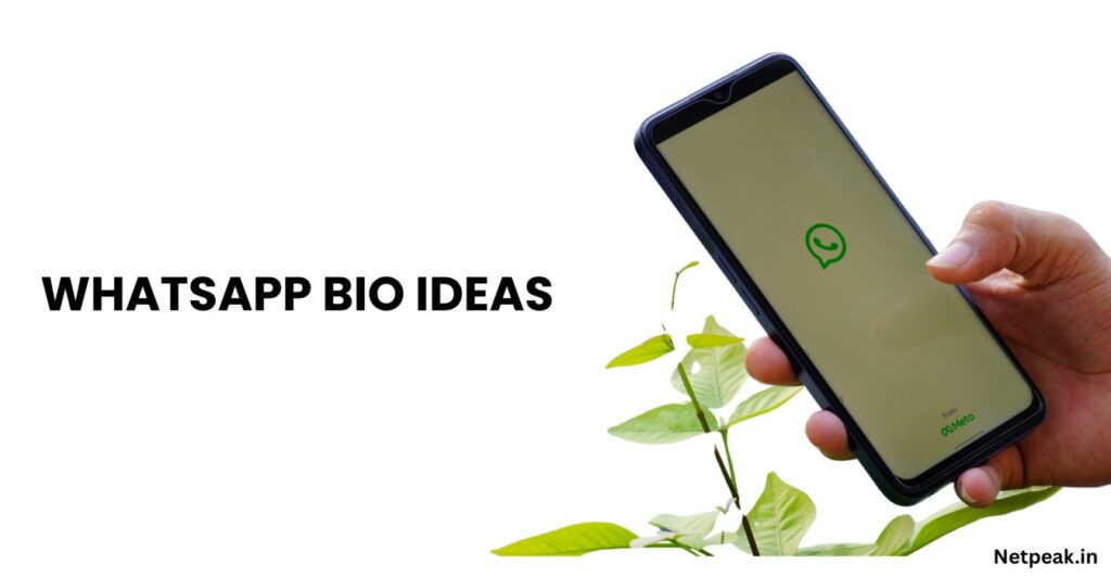 WhatsApp Bio Ideas | Best Whatsapp Bio Ideas