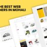 Hire the Best Web Designers in Mohali
