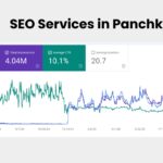 SEO Services in Panchkula