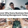 Discover Why Every Business Needs Marketing Management Today