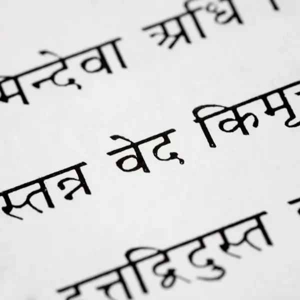 Sanskrit Shlok For Instagram Bio