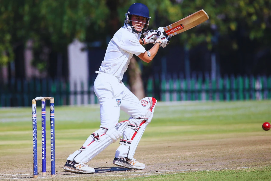 Top 100 Cricket Bio for Instagram for Boys