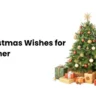 Christmas Wishes for Brother