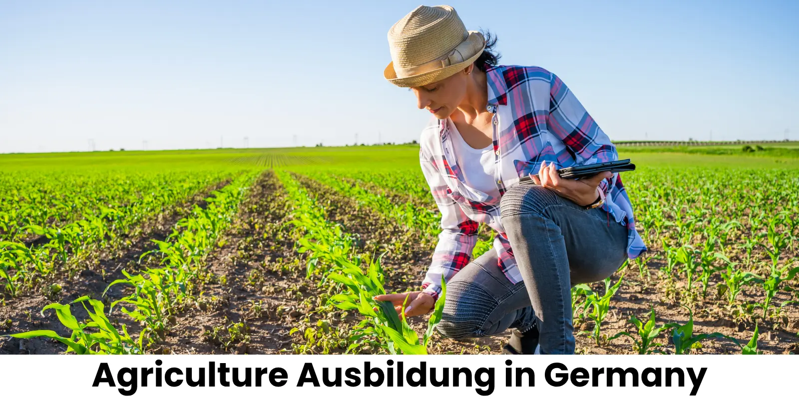 Agriculture Ausbildung in Germany